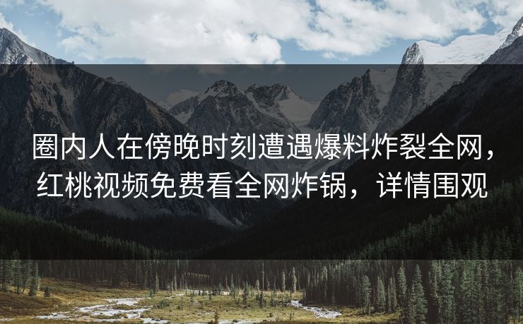 圈内人在傍晚时刻遭遇爆料炸裂全网，红桃视频免费看全网炸锅，详情围观