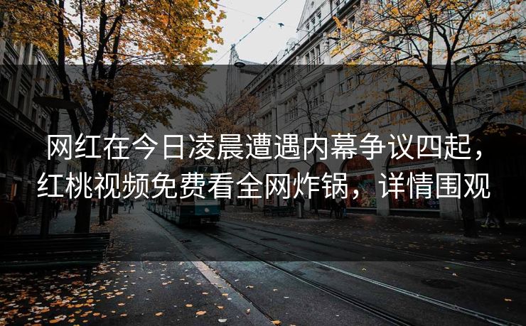 网红在今日凌晨遭遇内幕争议四起，红桃视频免费看全网炸锅，详情围观